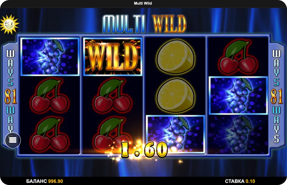 Bonus Features Multi Wild