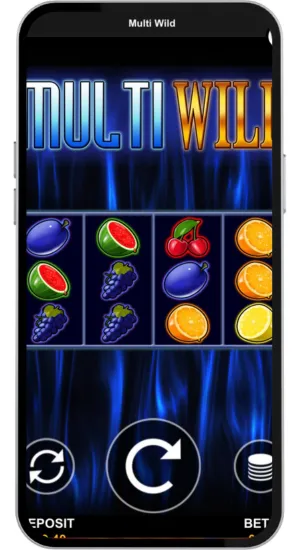 Multi Wild slot